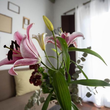 Willa Casa Del Siglo XVII Sewilla Zewnętrze zdjęcie